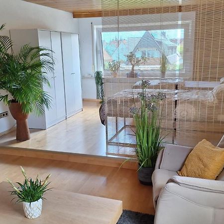 Haus Gartenblick روزلسهايم المظهر الخارجي الصورة