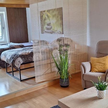 Haus Gartenblick روزلسهايم المظهر الخارجي الصورة